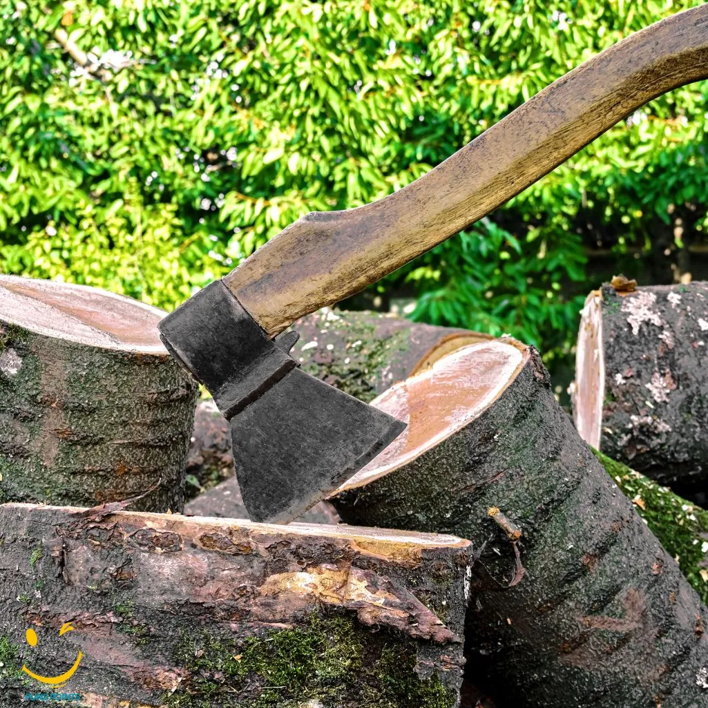 An Axes Slice