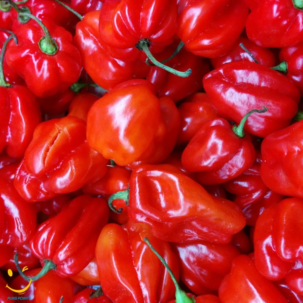 Chili Puns Are The Perfect Way To Kick Off A Good Laugh