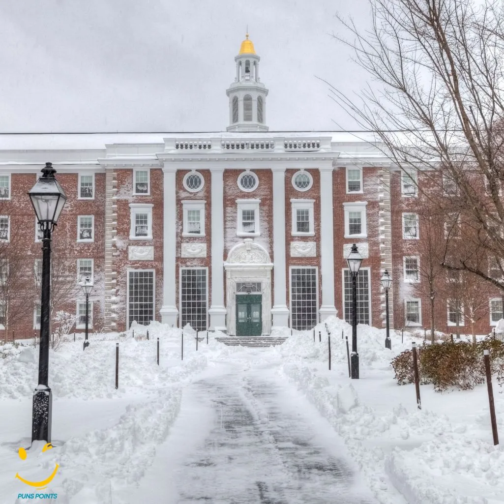 Classroom Is Snow Special