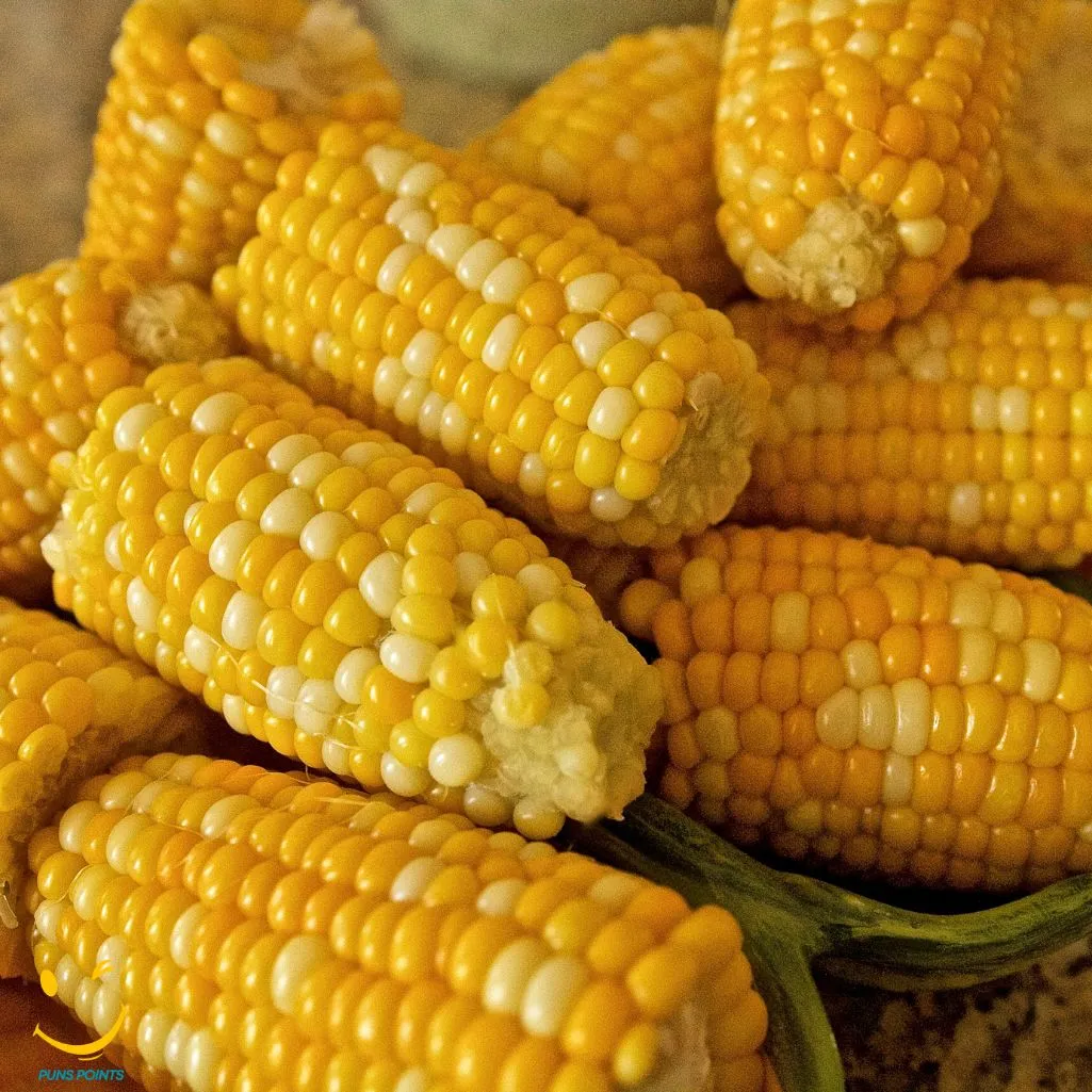 Corn On The Cob No Butter No Problem