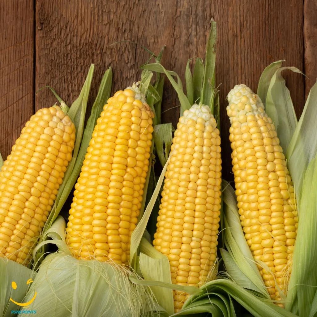 Corny Jokes