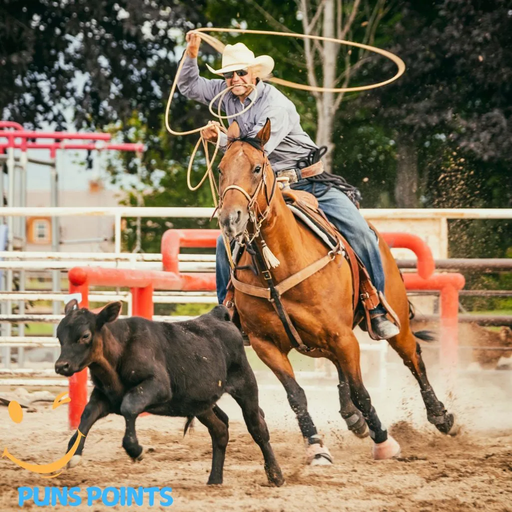 Hat It Your Way  Cowboy Style