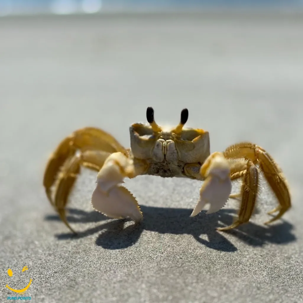 Crab In Pop Culture