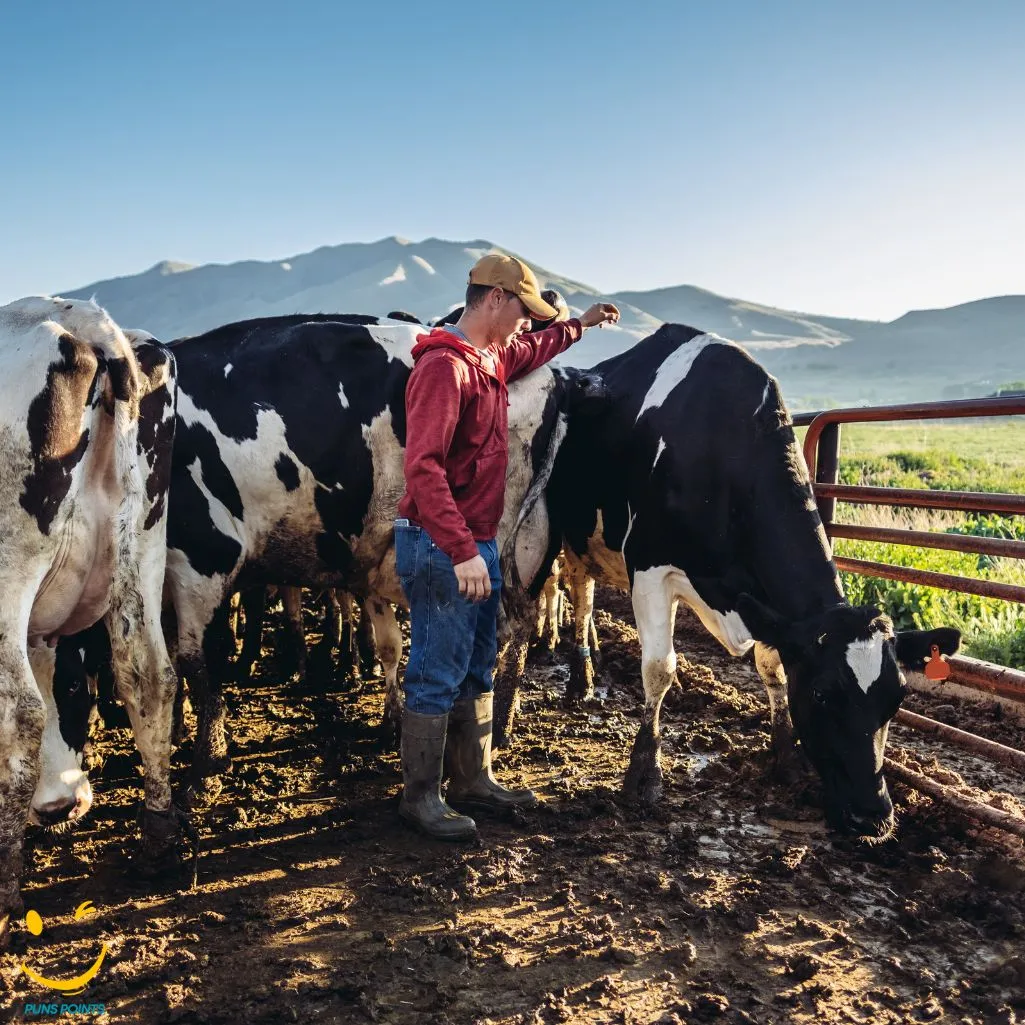 Dairy Farmer Stay Strong