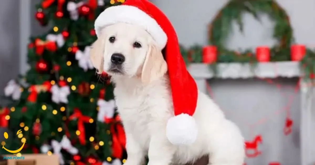 Dog Christmas Puns And Jokes