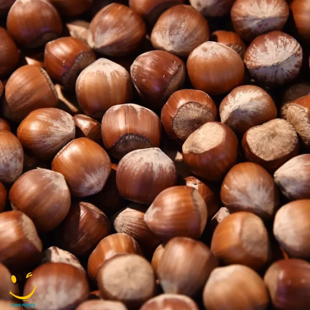 Hazel nut