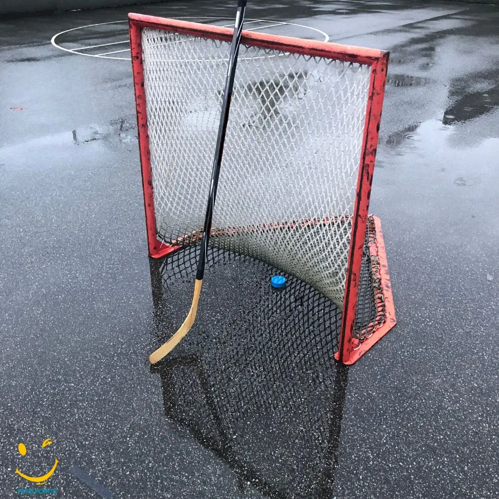 Hockey nets