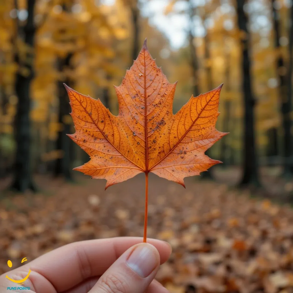 Leaf Say To Autumn