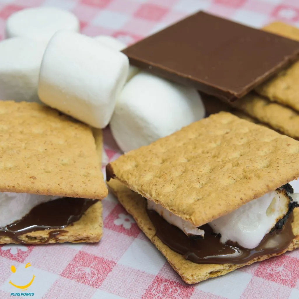 Smore Magic Smore Love