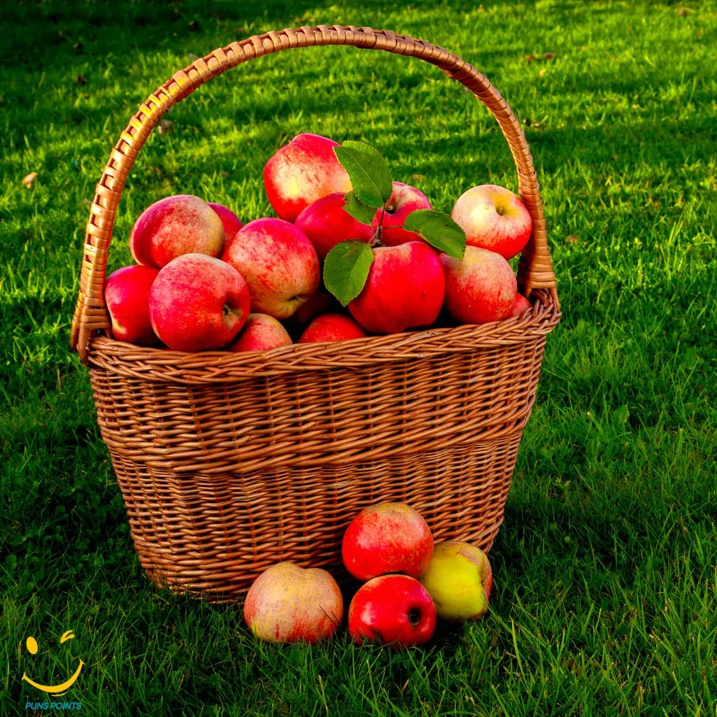 Why Do Apples Love Picnics