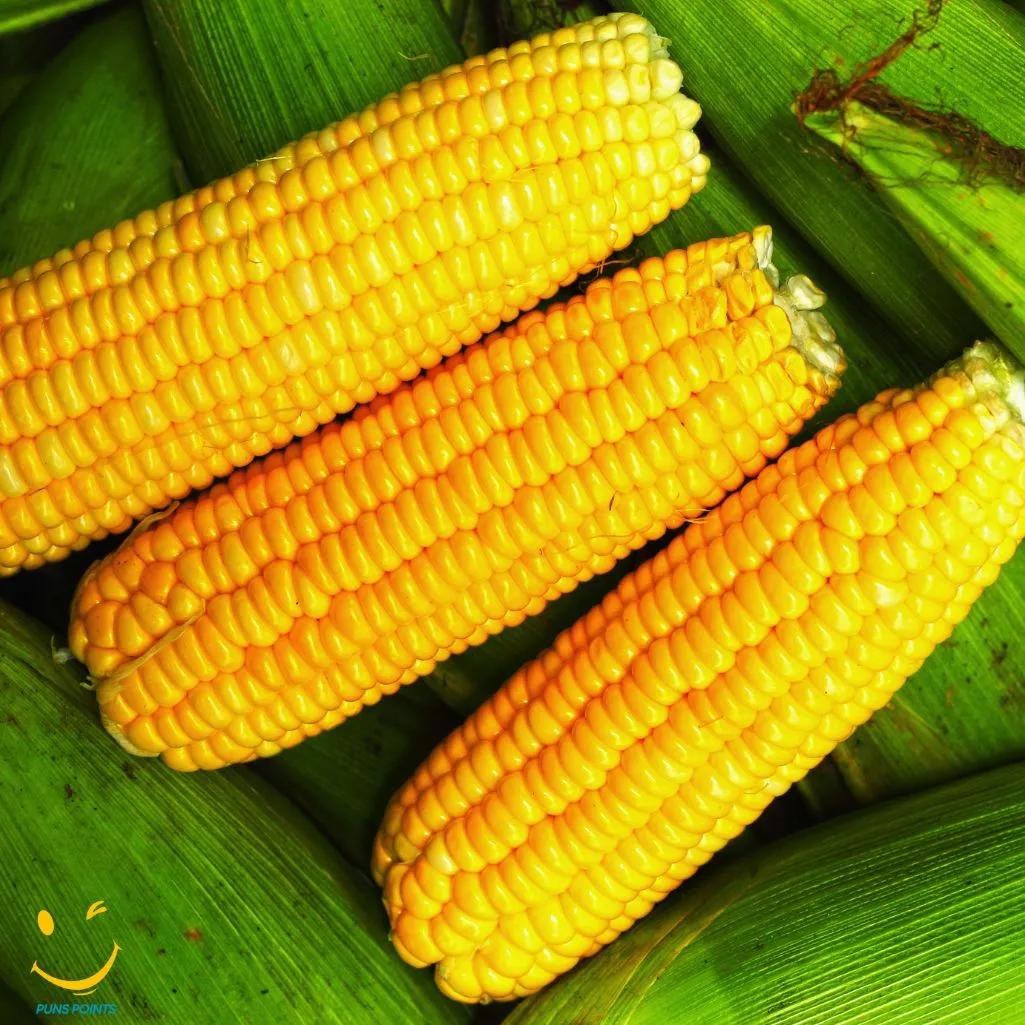 Wishing You A Corn Derful Birthday