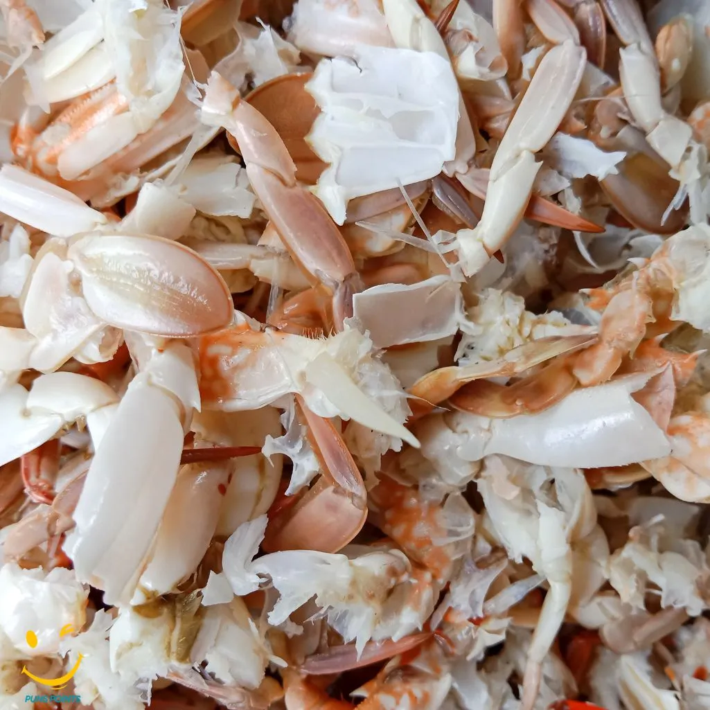 Shell Fish