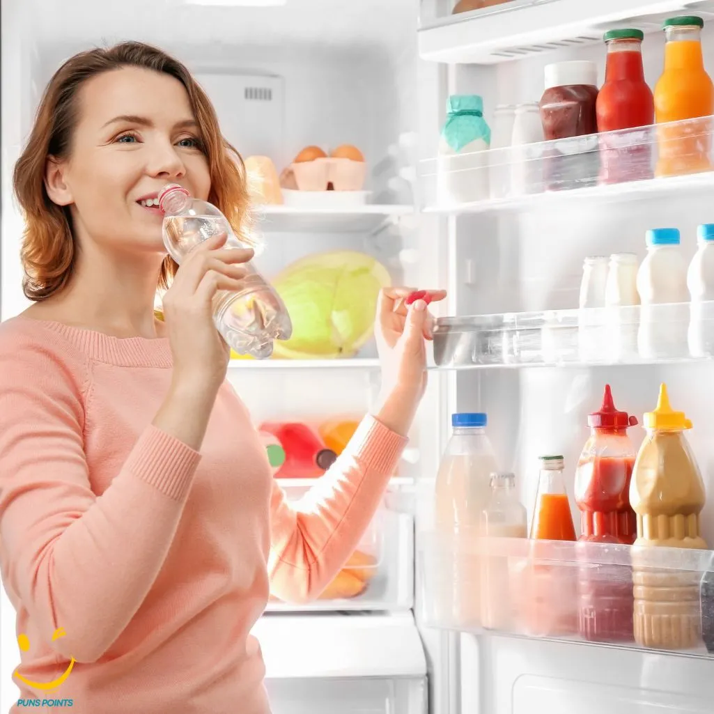 Keeping It Cool With Refrigerator Puns