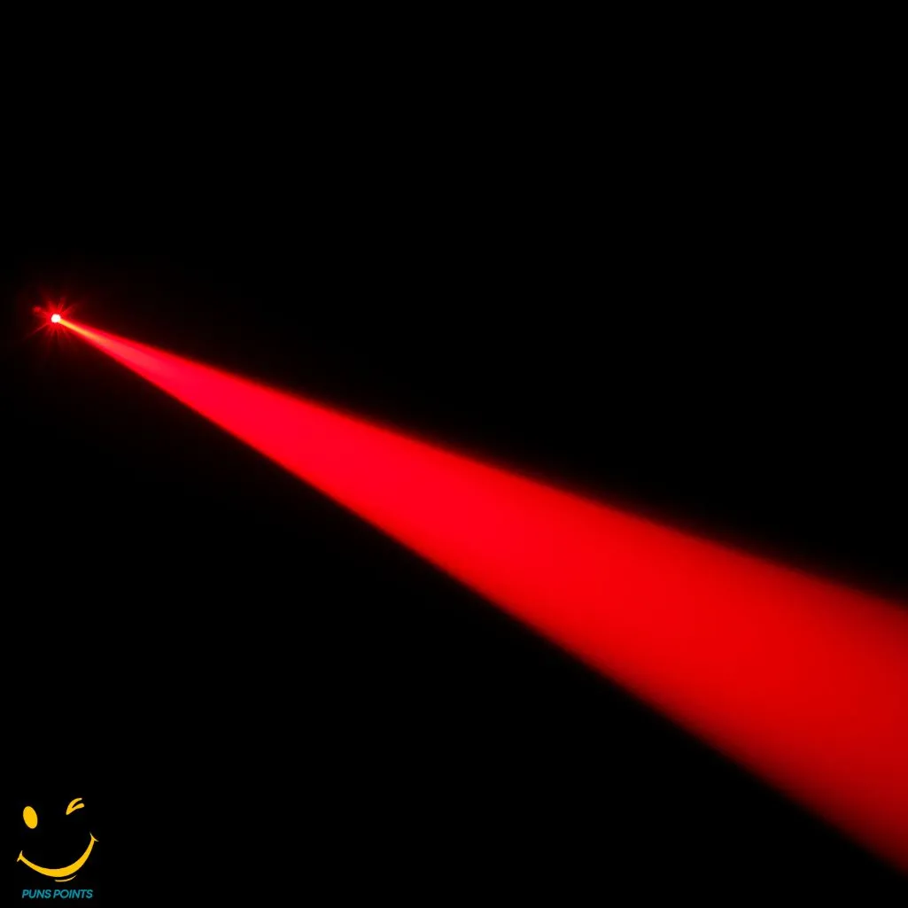 Laser Focused On A Pun Derful Time